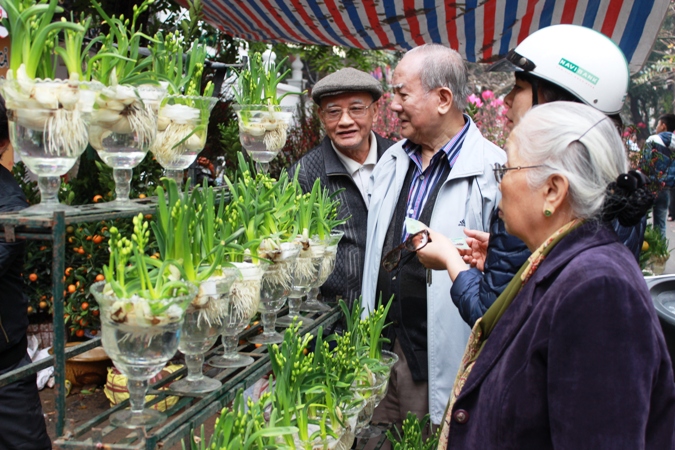 Hà Nội Tấp nập chợ hoa Hàng Lược ngày cận Tết